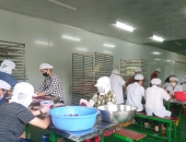 XƯỞNG SẢN XUẤT LONG CHÂU