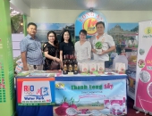 KỸ THUẬT TỈA CÀNH CÂY THANH LONG