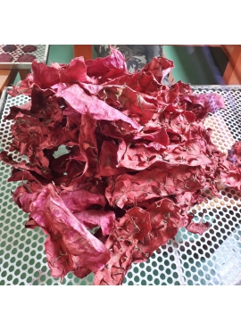 vỏ Trái Thanh Long sấy khô