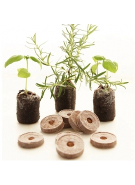 Giá thể sơ dừa